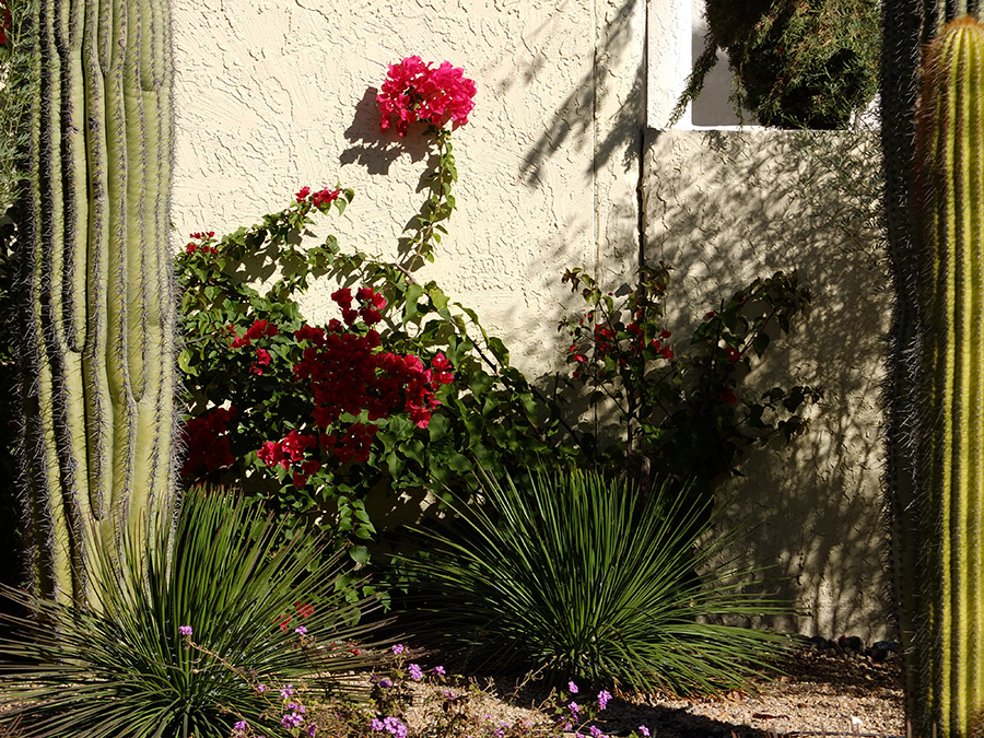 fujifilm xs10 film simulation